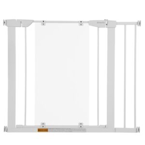 Easy Walk-Thru Clear Gate