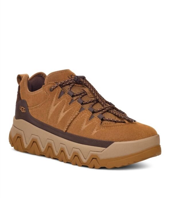 Men's Captrail Low Cut Sneakers In Chestnut