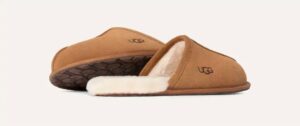 Men's Scuff Slipper In Chesnut