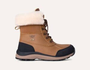 Women's Adirondack Iii Boot In Chestnut