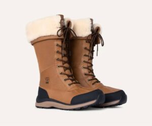 Women's Adirondack Tall Boot In Chestnut