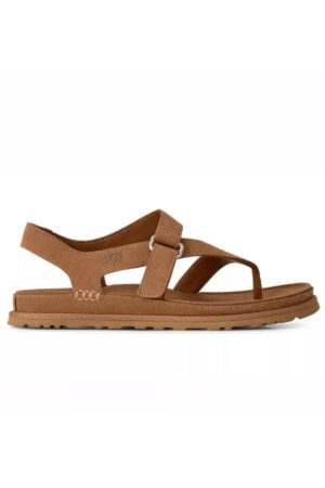 Women's Goldengaze Toe Post Sandal In Chestnut