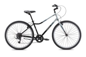 Adult Bike