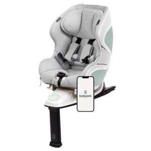 Babyark Smart Convertible Car Seat