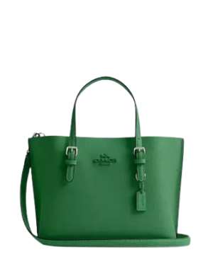 Coach Mollie Tote 25
