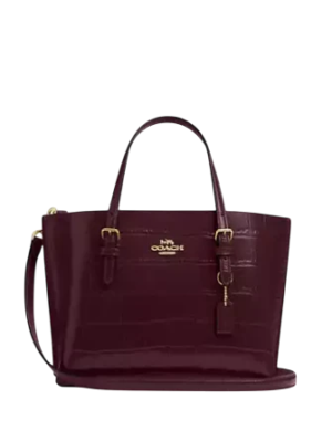 Coach Mollie Tote Bag 25