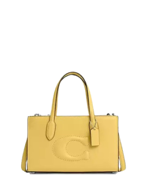 Coach Nina Small Tote