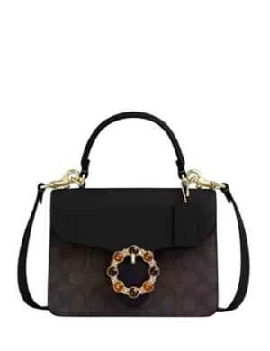 Coach Courtney Top Handle Bag In Signature Canvas