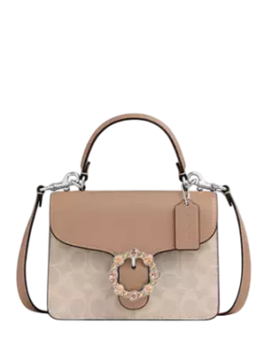 Coach Courtney Top Handle Bag In Signature Canvas