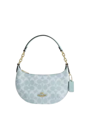 Coach Mini Payton Bag In Signature Canvas