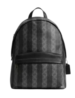 Coach Taylor Backpack In Signature Canvas With Stripes