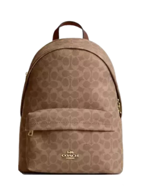 Coach Taylor Small Backpack In Signature Canvas