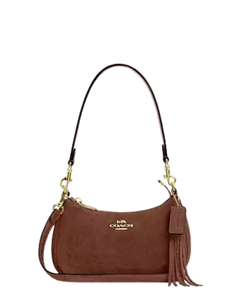 Coach Teri Mini Crossbody Bag