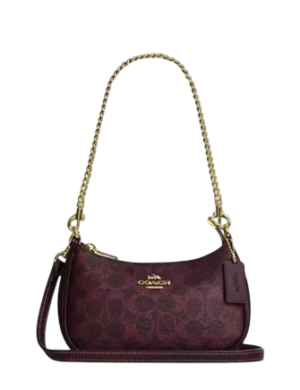 Coach Teri Mini Crossbody Bag In Signature Canvas