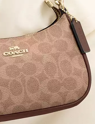 Coach Teri Mini Crossbody Bag In Signature Canvas - Image 3
