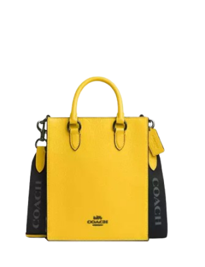 Coach Dylan Tote Bag