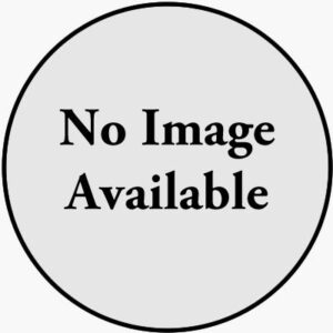 LG 9 cu. ft. Electric Dryer with Steam DLEX9500W