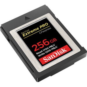SanDisk Extreme PRO 256 GB CFexpress Card Type B - 1 SDCFE-256G-ANCNN