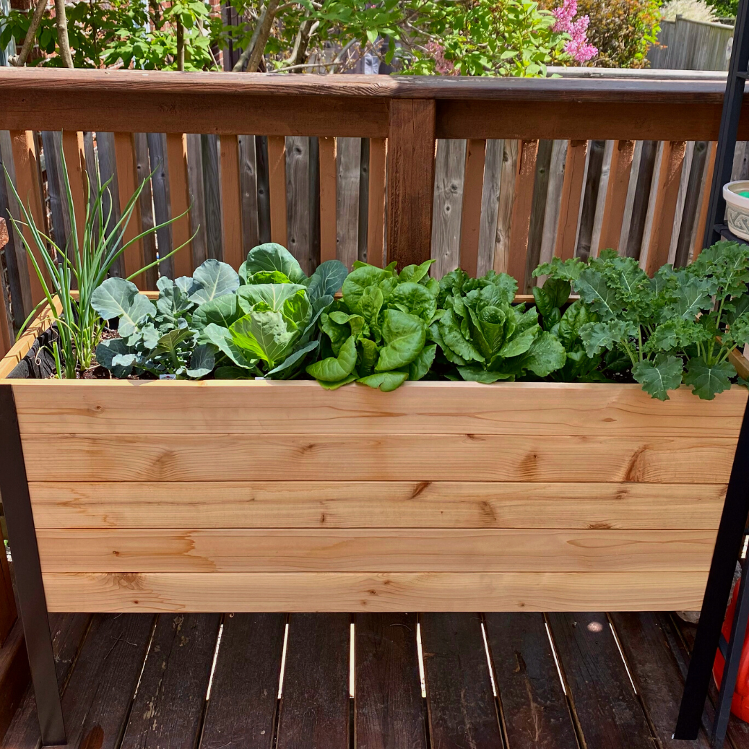 18" x 48" Raised Garden Bed - 30" TALL - Image 10