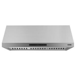 48" Pro-Canopy Wall Hood - Silver Stainless